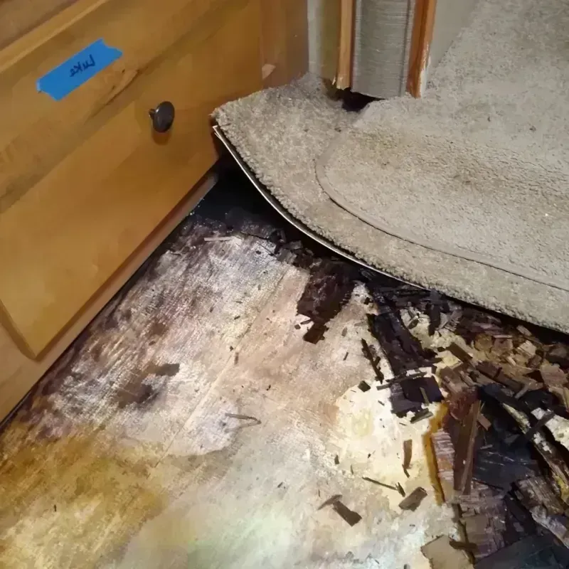 Wood Floor Water Damage in Payson, AZ